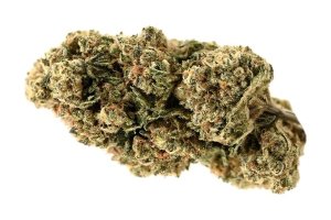 Demecan Core Golden Horizon 31:01